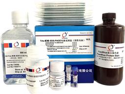 Tris-醋酸-SDS-PAGE電泳試劑盒（變性電泳，含預制膠）