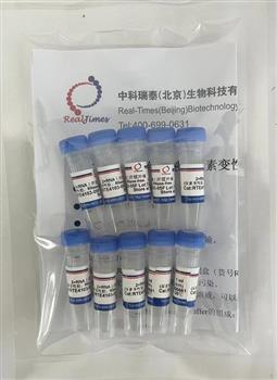 2×RNA上樣緩沖液 (尿素變性膠，RNase-free，無(wú)染料)