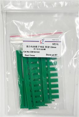 蛋白電泳梳子10齒 厚度1.5mm 配套伯樂(lè )用