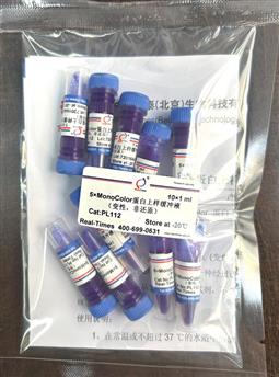 5×MonoColor 蛋白上樣緩沖液 (變性，非還原)