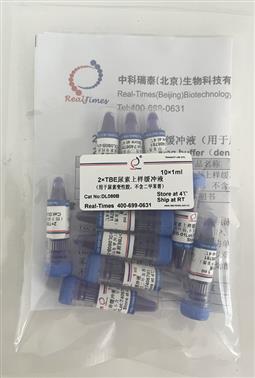 2×TBE尿素上樣緩沖液（用于尿素變性膠，不含二甲苯菁）